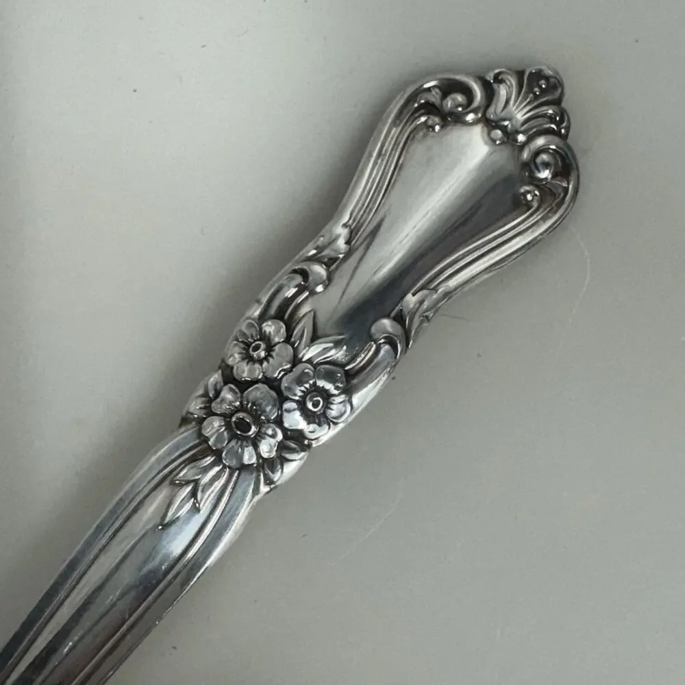 Wm. A. Rogers Oneida Valley Rose Ladle Silverplate Severing Dining